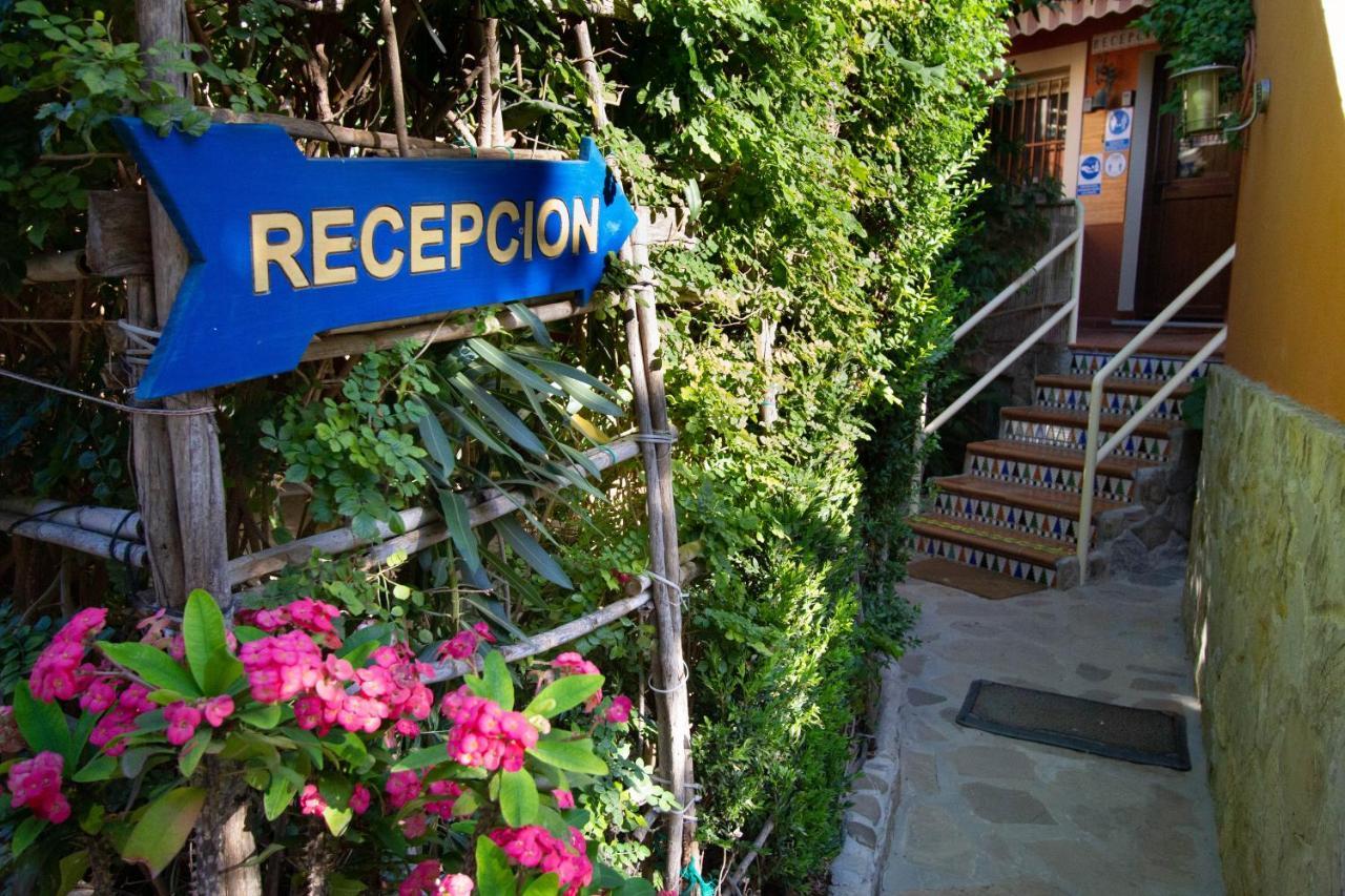 Apartamentos Turisticos Trajano Bolonia Εξωτερικό φωτογραφία